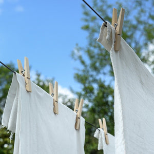 そろそろ衣替えの時期ですね。Tシャツを保管する際に必ず洗濯を！