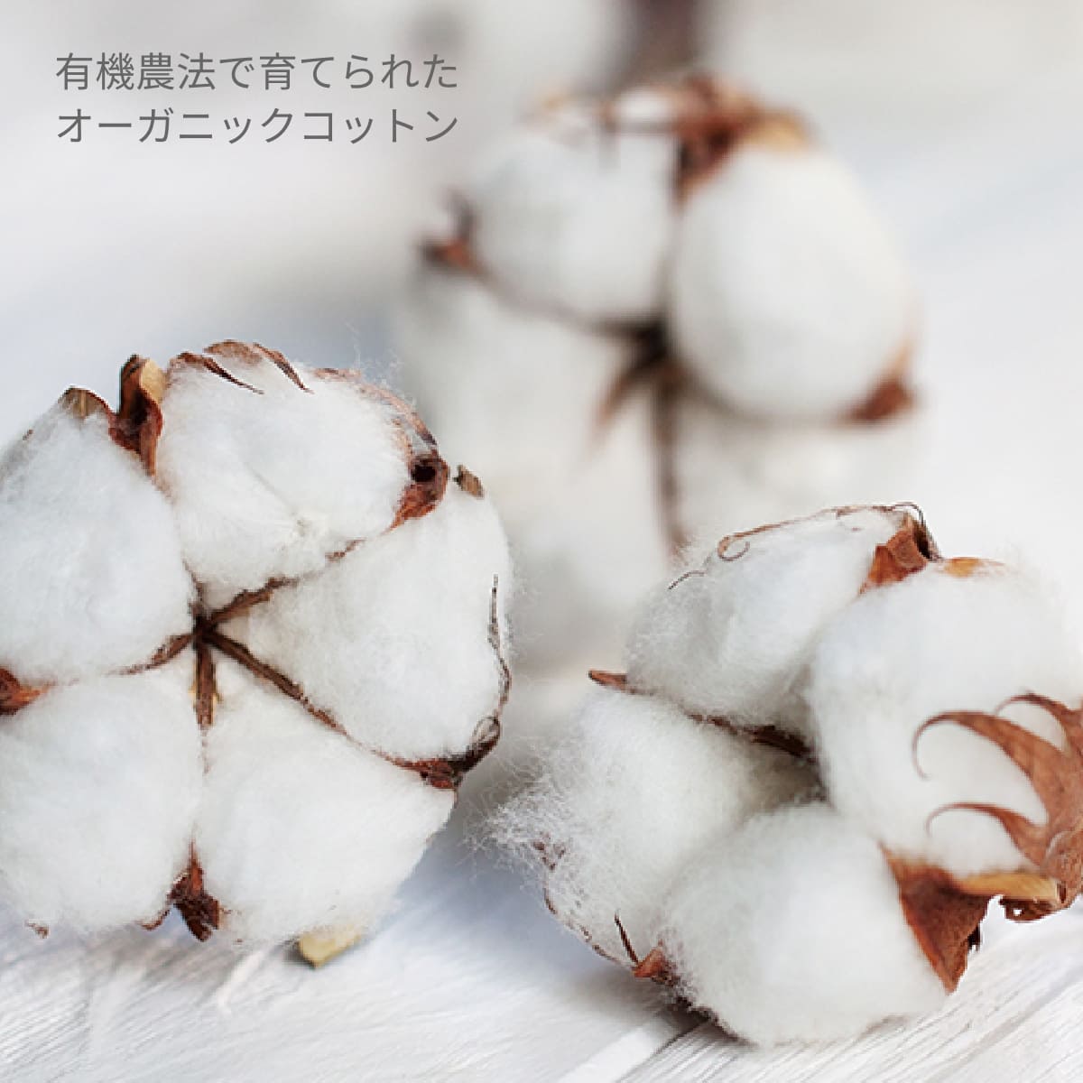 オーガニックコットン ガゼット巾着(S) | ノベルティ(小物) | 1枚 | TR-1168 | ナチュラル