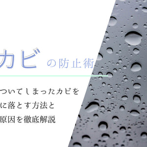 【カビの防止術】服についてしまったカビを綺麗に落とす方法とその原因を徹底解説