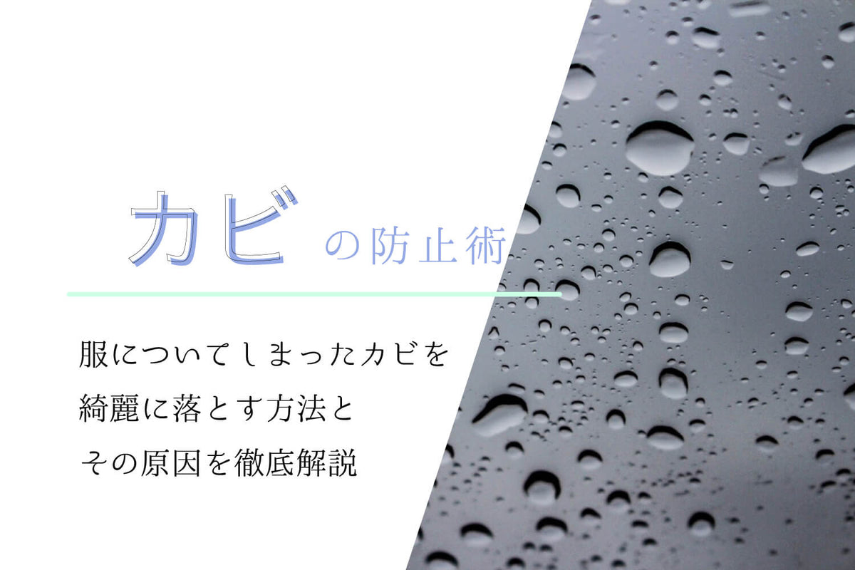 【カビの防止術】服についてしまったカビを綺麗に落とす方法とその原因を徹底解説
