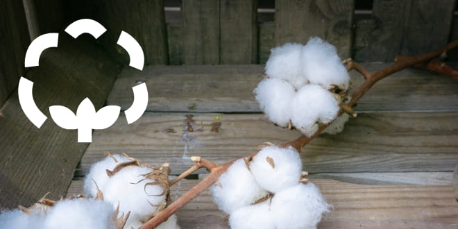 オーガニックコットン商品一覧