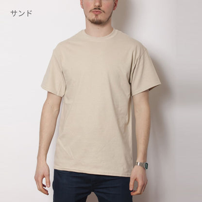 アダルトＴシャツ | メンズ | 1枚 | 2000 | タン