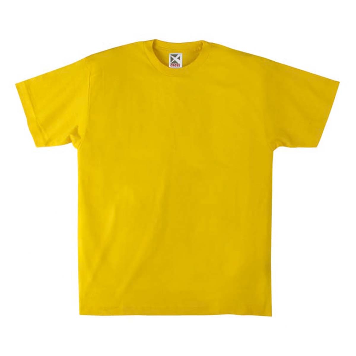 レギュラーコットンTシャツ | ビッグサイズ | 1枚 | CR1102 | ダンディーライアン