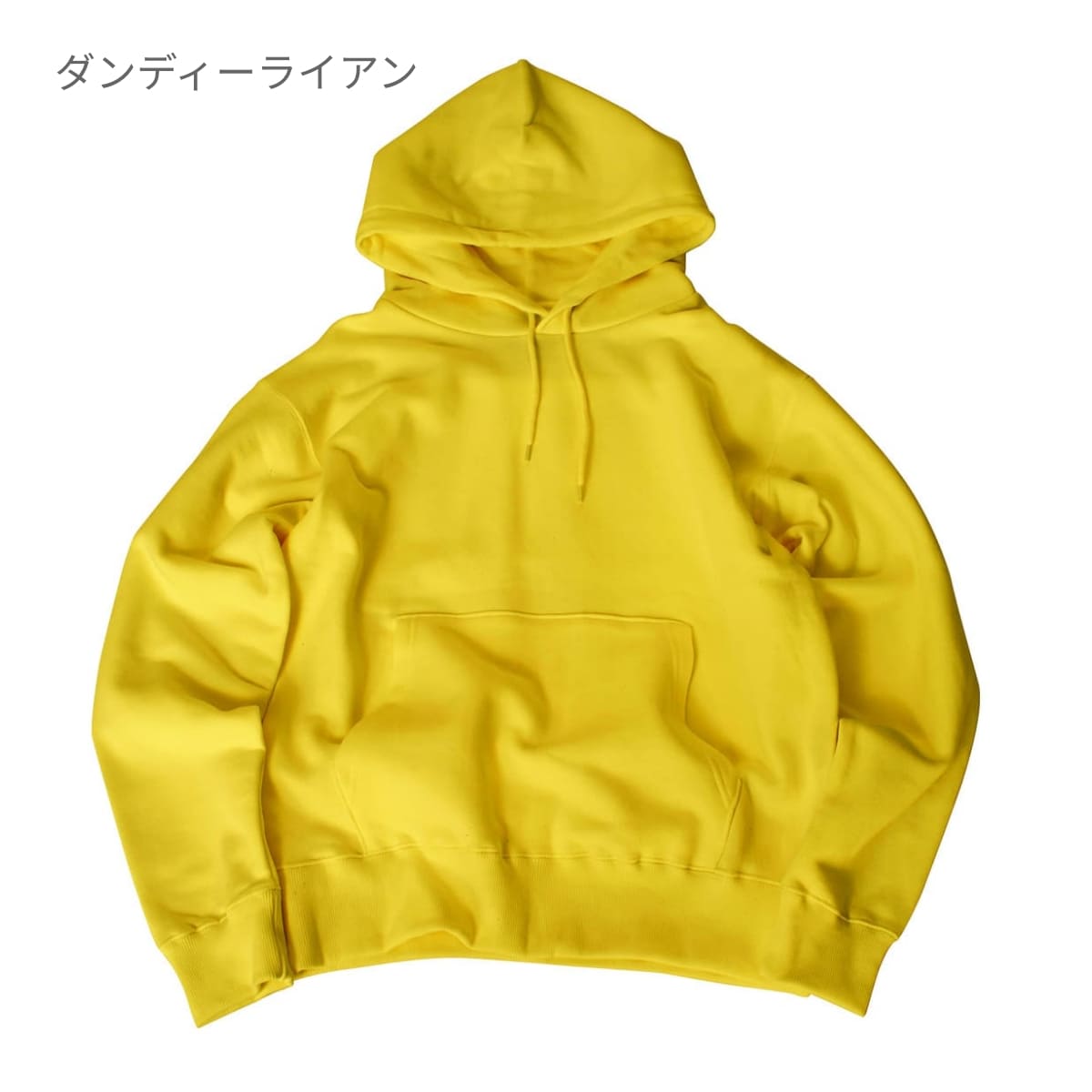 レギュラーパーカー | ビッグサイズ | 1枚 | CS2250 | ダンディーライアン