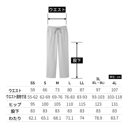 ストレートパンツ（Dickies） | メディカルウェア | 1枚 | 5019SC | ガンメタ