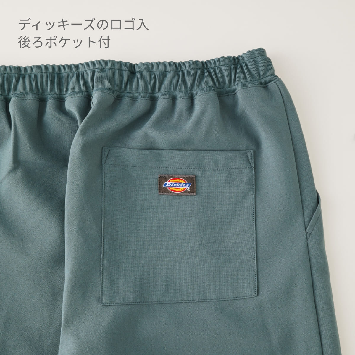 ジョガーパンツ（Dickies） | メディカルウェア | 1枚 | 5031SC | スレートブルー
