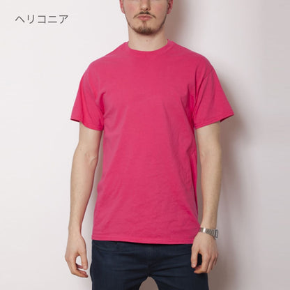 アダルトＴシャツ | ビッグサイズ | 1枚 | 2000 | アッシュ