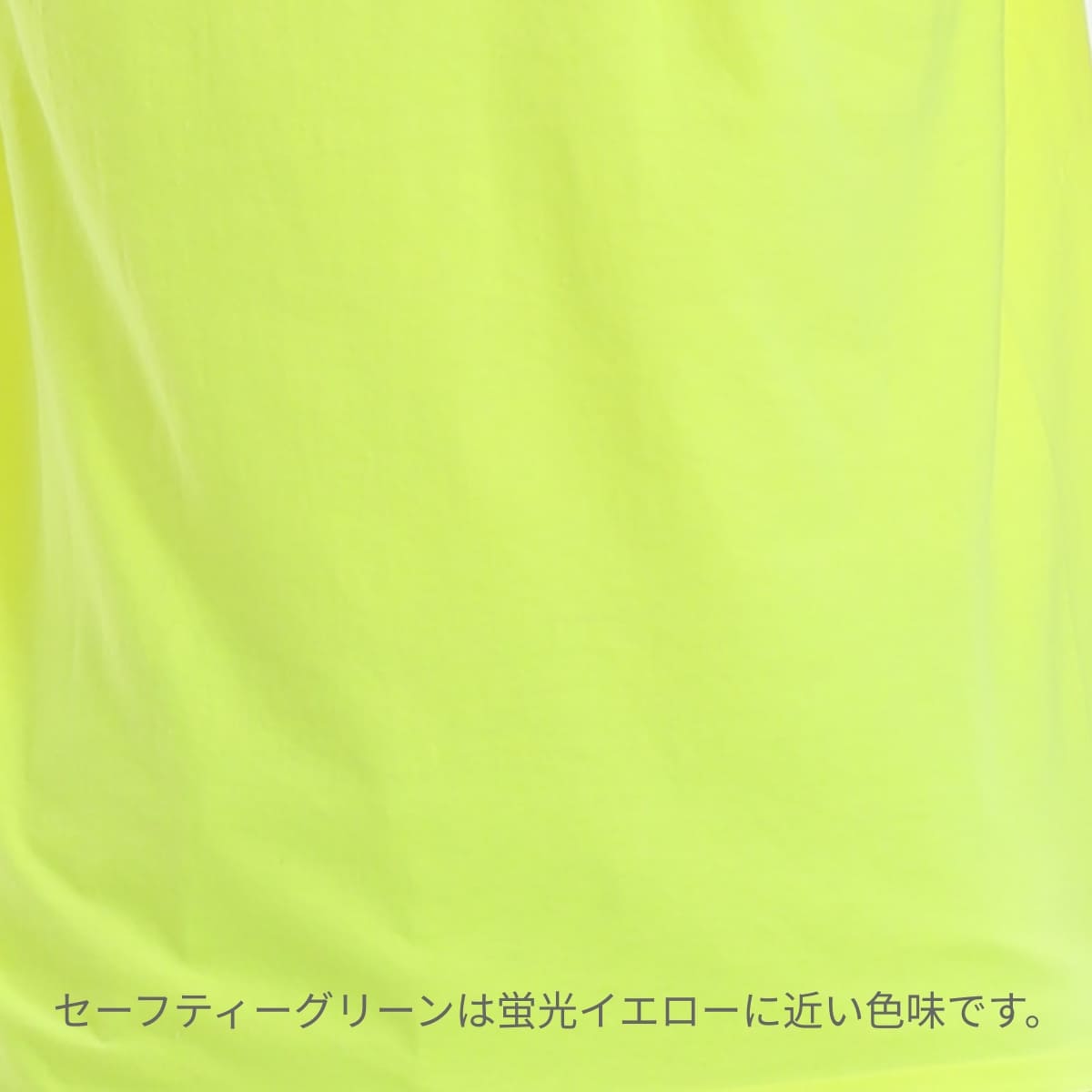 アダルトＴシャツ | ビッグサイズ | 1枚 | 2000 | オーキッド