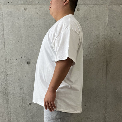 アダルトＴシャツ | ビッグサイズ | 1枚 | 2000 | ヘリコニア