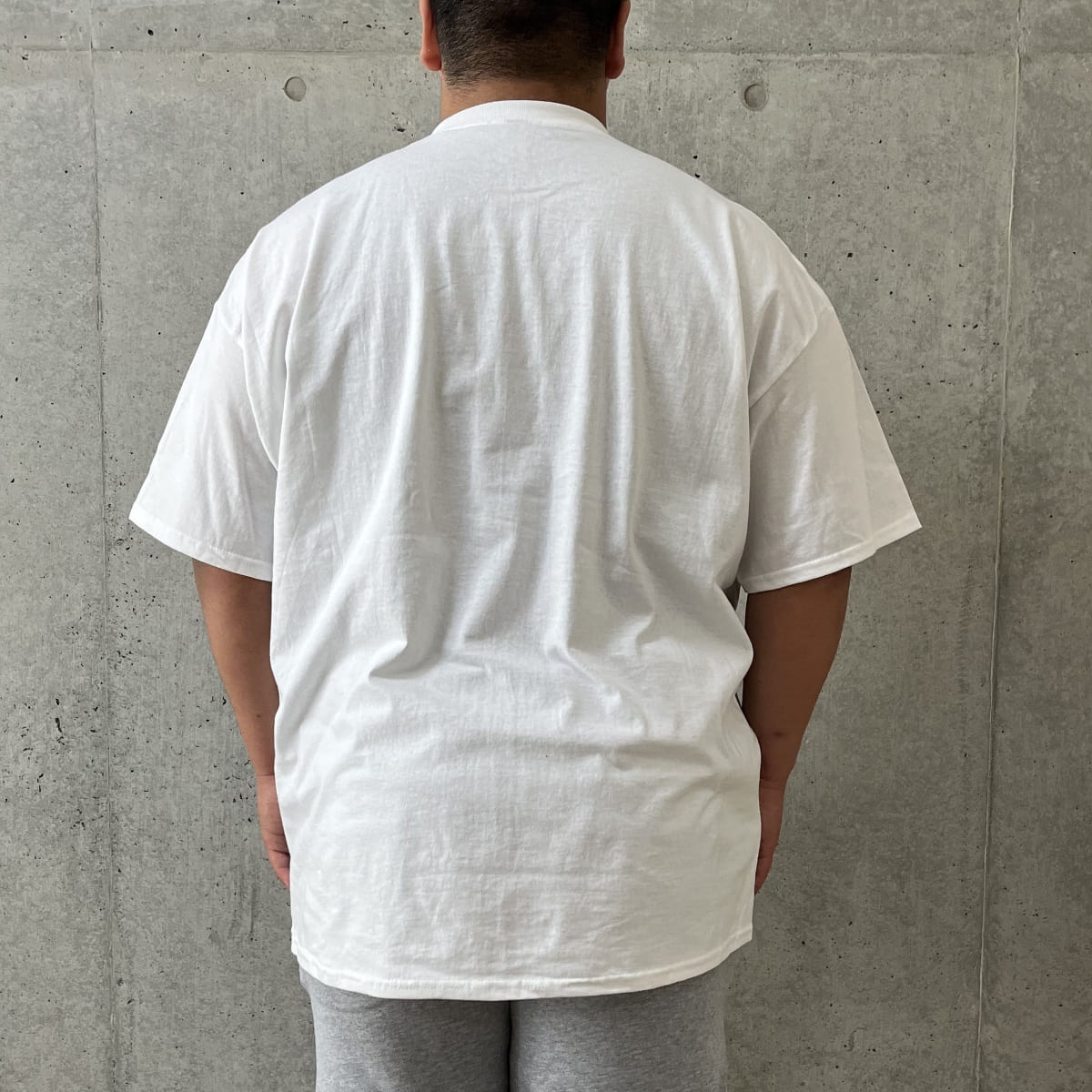 アダルトＴシャツ | ビッグサイズ | 1枚 | 2000 | ピスタチオ