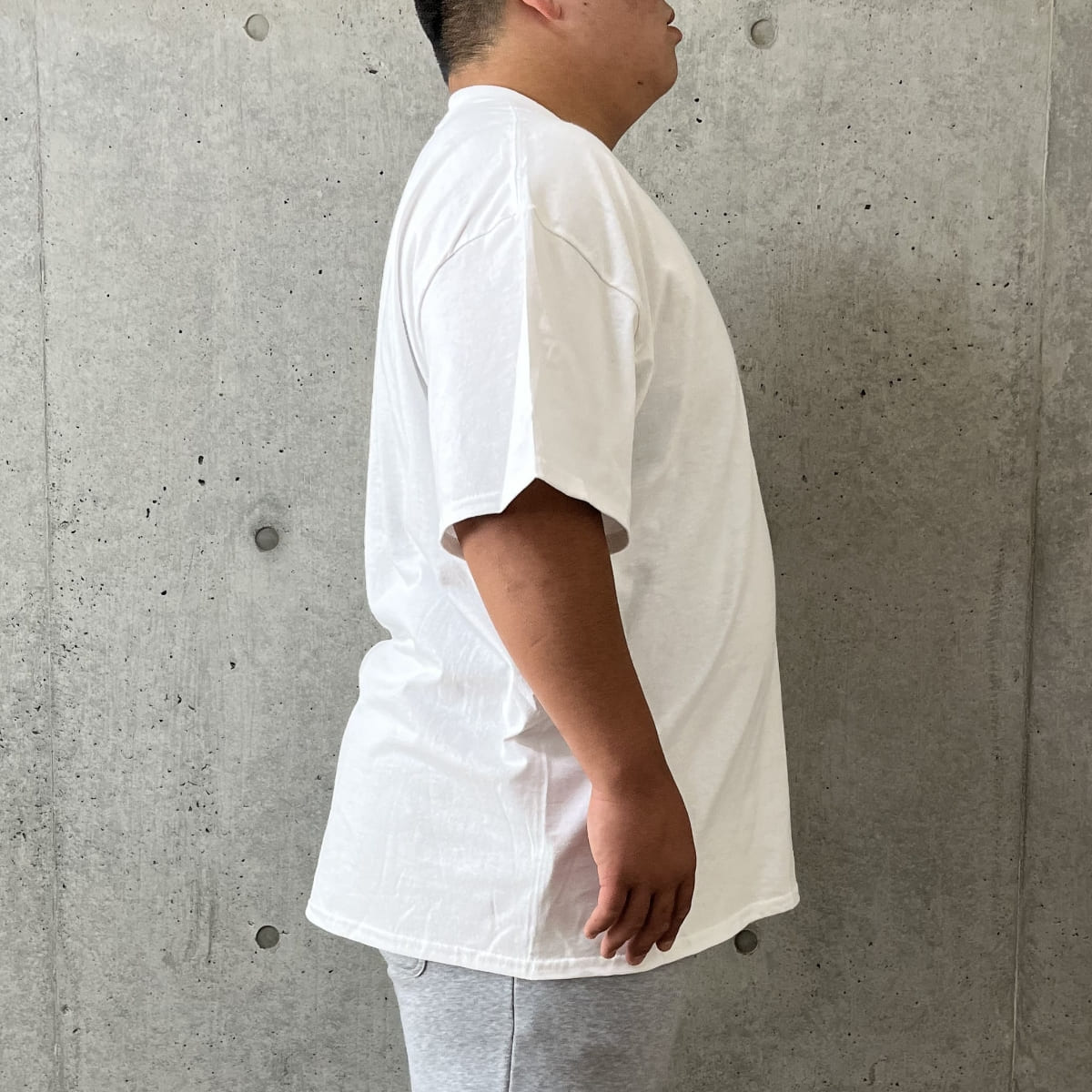 アダルトＴシャツ | ビッグサイズ | 1枚 | 2000 | ヘリコニア