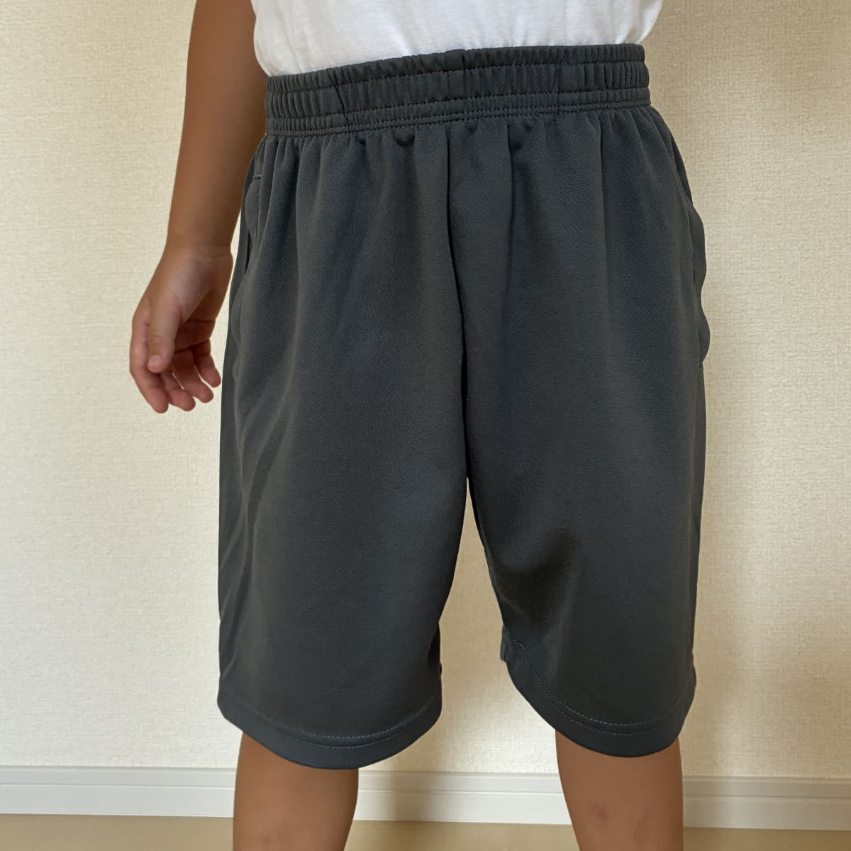 ディナスターハーフパンツ XLサイズ ディナスターハーフパンツ XLサイズ ディナスターハーフパンツ XL