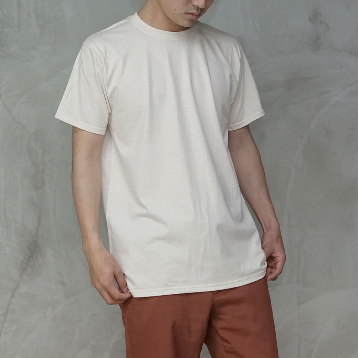 フルーツベーシックTシャツ | メンズ | 1枚 | J3930HD | ロイヤル