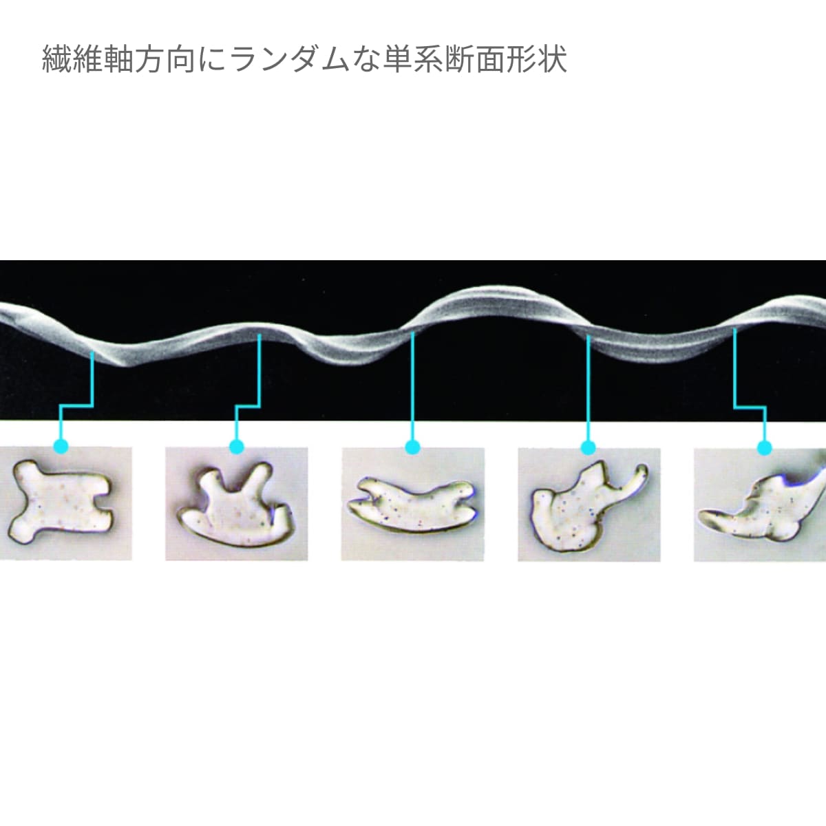 ジャンパー（男女兼用） | ユニフォーム | 1枚 | 406 | ホワイト