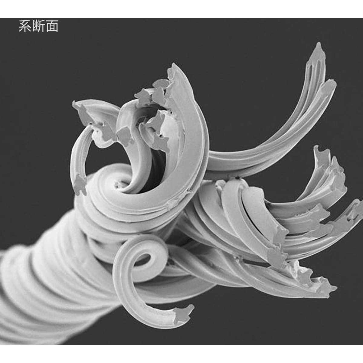 ジャンパー（男女兼用） | ユニフォーム | 1枚 | 406 | ホワイト