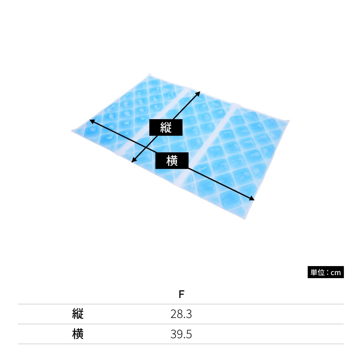 アイス敷きパッド（EVAポーチ付） | ノベルティ(小物) | 1枚 | TC-0019 | ライトブルー