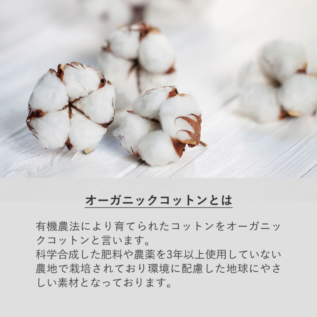 フェアトレードコットンマチ付マルシェバッグ | ノベルティ(小物) | 1枚 | TR-1402 | ナチュラル