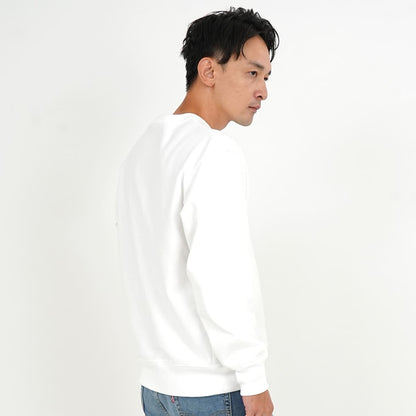 12.0オンス 裏起毛ヘビートレーナー | ビッグサイズ | 1枚 | 00227-FVC | ライトベージュ