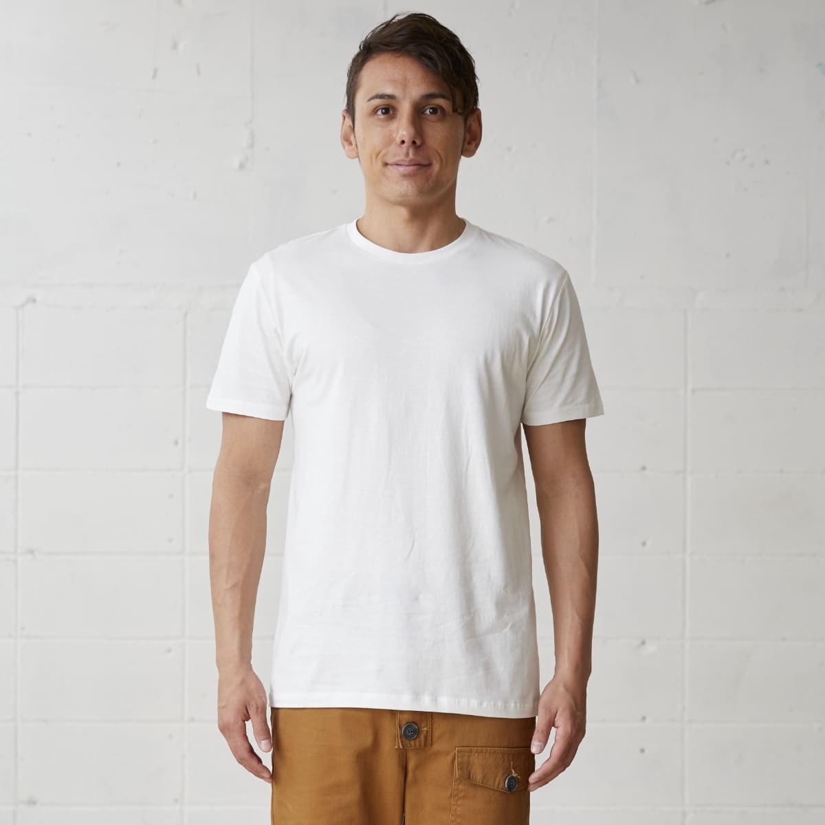 ベーシックスタイル Tシャツ | メンズ | 1枚 | TRS-700 | ブラウン