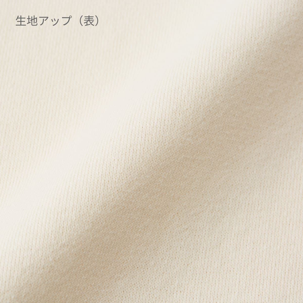 8.8オンス オーセンティック パイル スウェット プルオーバー パーカ（裏パイル） | ビッグサイズ | 1枚 | 5398-01 | スミ