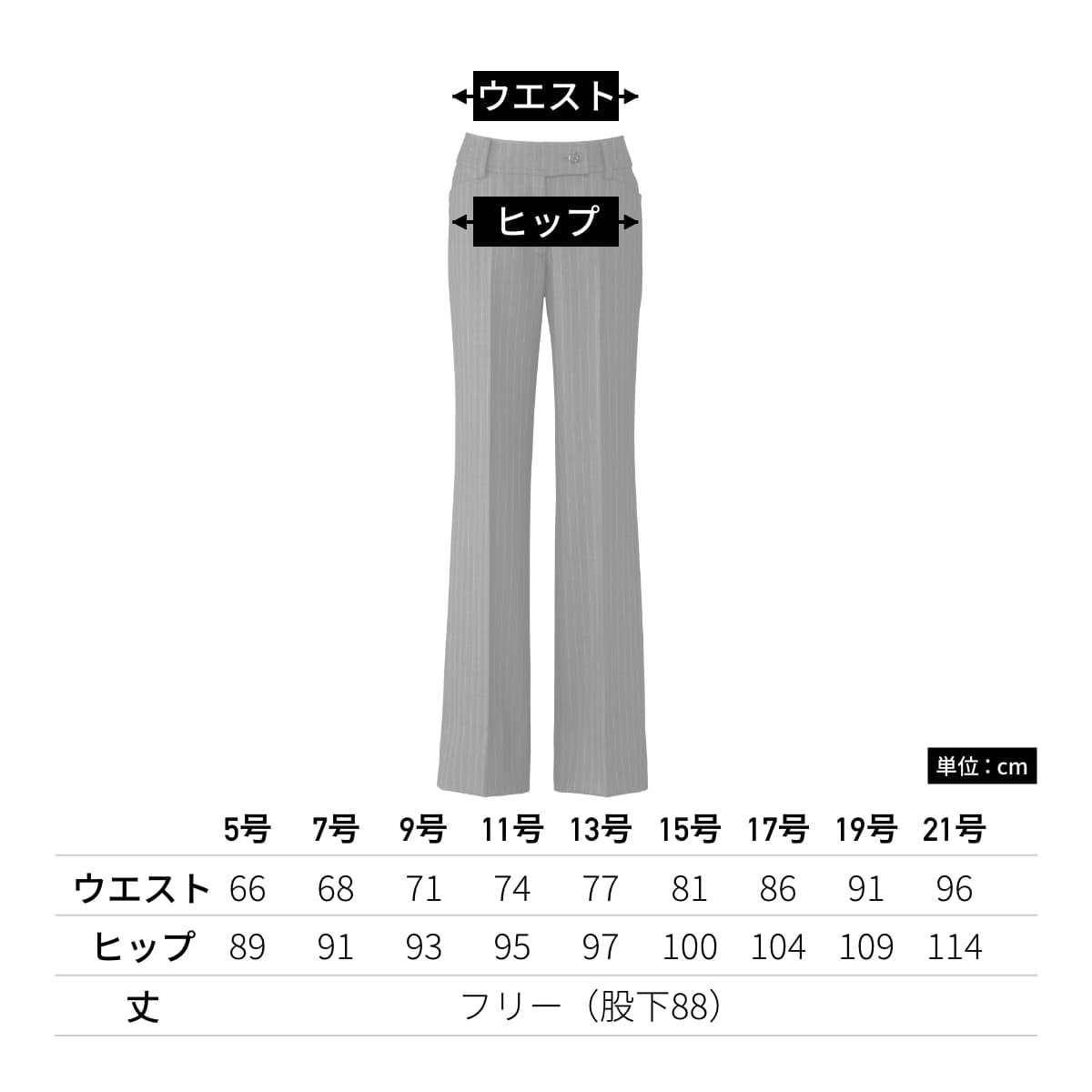 パンツ | レディース | 1枚 | AP6231 | ネイビー×ブルー