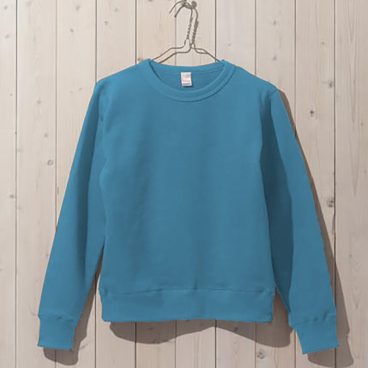 スウェットシャツ | レディース | 1枚 | DM4611 | ターコイズ
