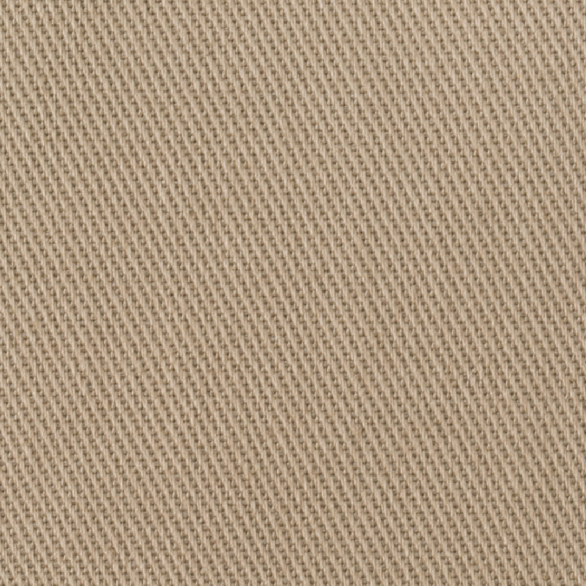 レディスストレッチゆったりチノ | レディース | 1枚 | FP6311L | ブラック