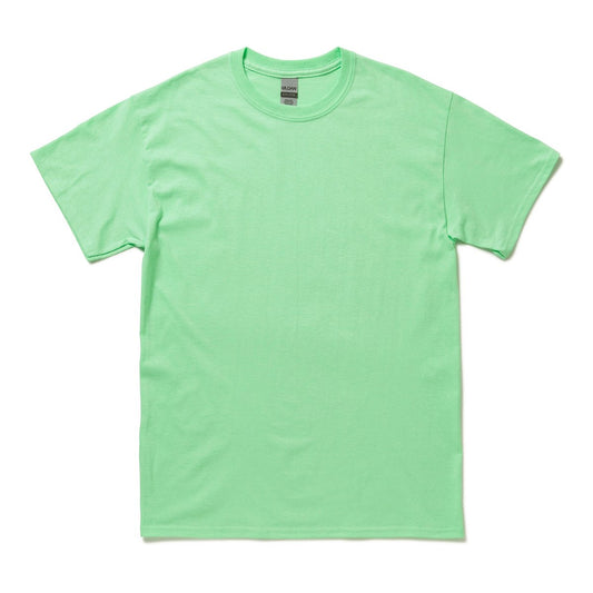 アダルトＴシャツ | ビッグサイズ | 1枚 | 2000 | ミントグリーン